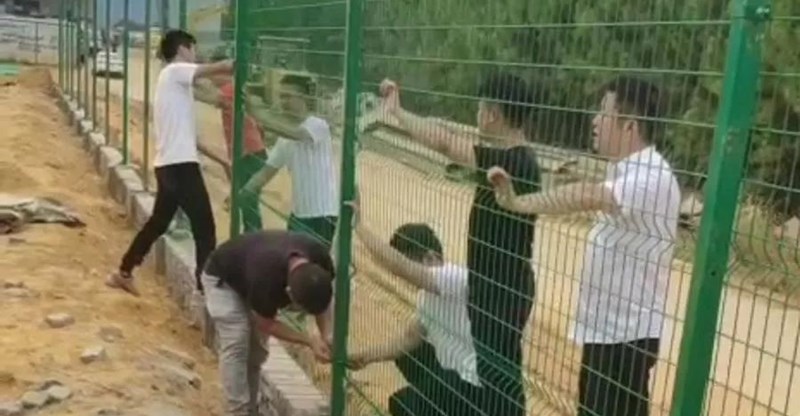 ����� -jinnianhui | jinnian