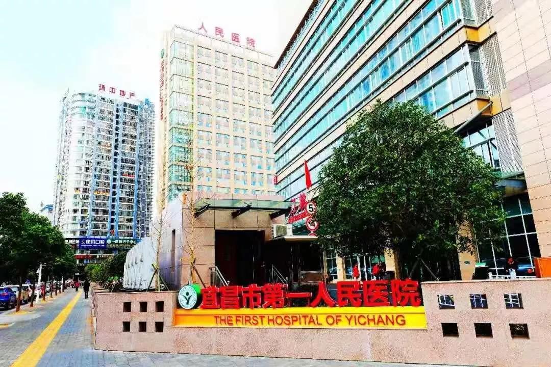 今年会 -jinnianhui | jinnian