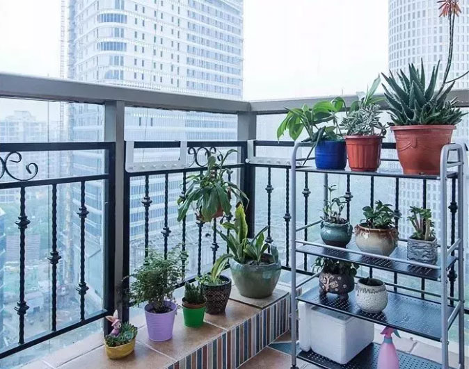 ����� -jinnianhui | jinnian